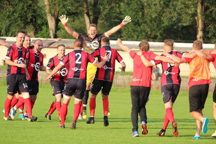 斯洛伐克队横扫对手，欧洲杯资格赛冲刺脚步稳健，斯洛伐克 欧洲杯  第3张